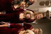 IMG 6384
